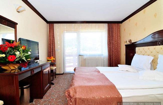 Vila Turistica Carmen Silvae - Foto 6