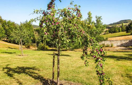 Cottage in Wine Country - Foto 22