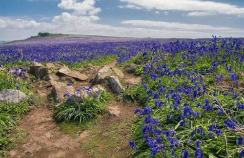 Green Shutters PembrokeshireBeachHouse - Foto 58