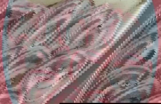 Agriturismo Sant'Erasmo - Foto 25