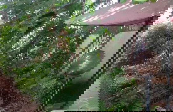 Rock Galana Holiday Apartments - Foto 27