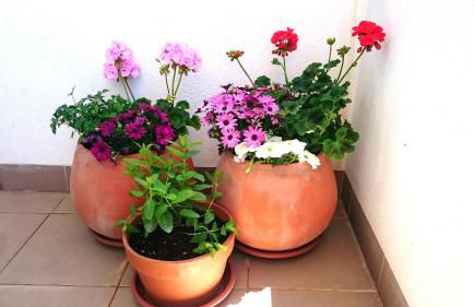 Apartamento de dos dormitorios junto a Mojácar Playa - Foto 12