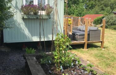 Shepherds Hut with Hot Tub - Foto 13