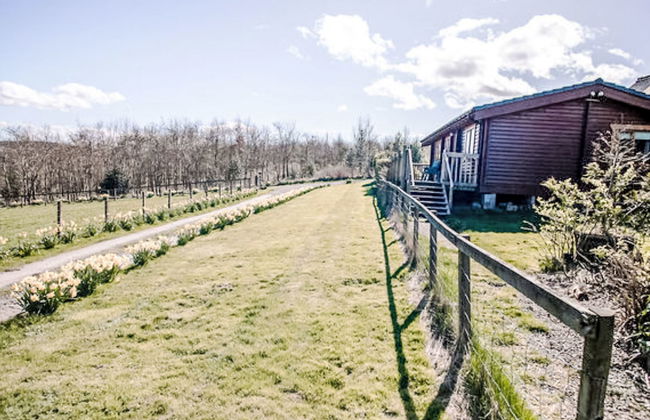 Bonnie View Lodge - Photo 26