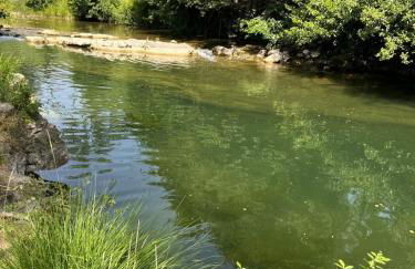 La maison d' Elizabeth - Foto 77