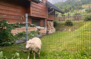 Domek na Śmigowskim Piwniczna-Zdrój - Foto 42