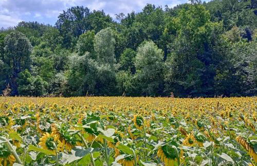 Casa delle foglie sussurranti - Foto 19