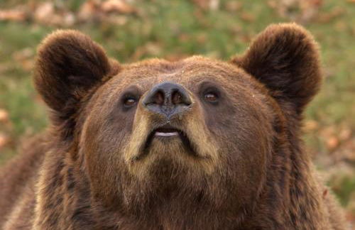 Can Batlló, entorno acojedor y romántico - Foto 62