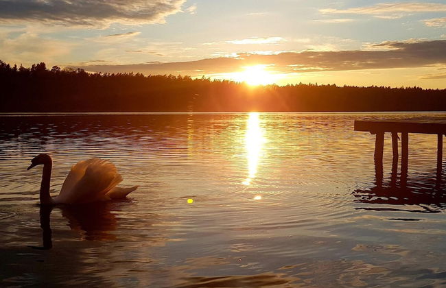 Holiday Home Right on the Lake, Florczaki - Foto 17