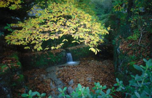 Quinta de Barbêdo - Turismo Rural - Foto 60
