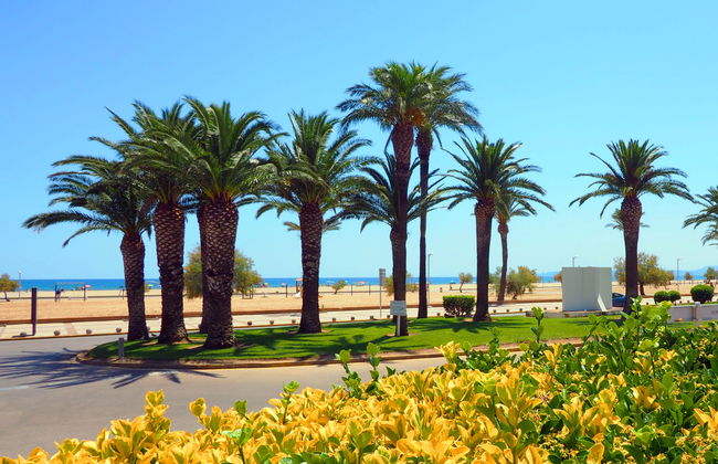 Edificio Blaucel - Photo 24