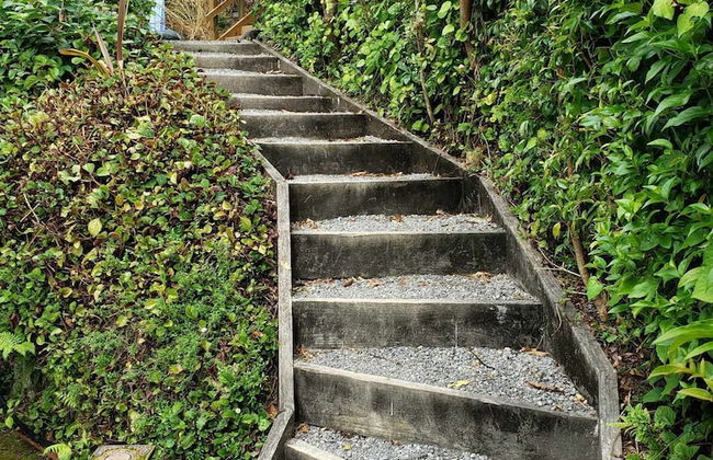 Two Peas In A Pod - Photo 23