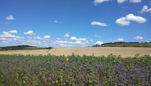 Obere Ferienwohnung Asshoff zwischen Odenwald, Taubertal und Bauland - Foto 2