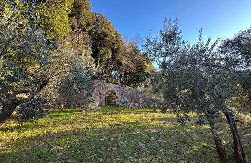 Spello Sant'Onofrio - Foto 12