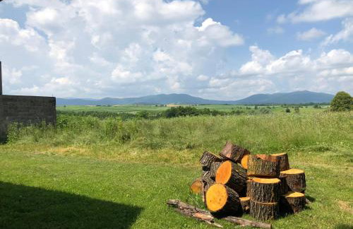 Apartman Jelena - Foto 27