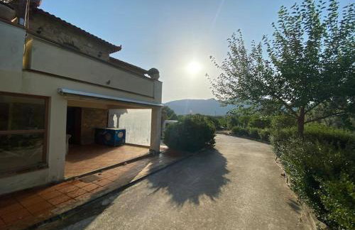 Spacious n comfortable Aloe Vera farm house - Photo 1