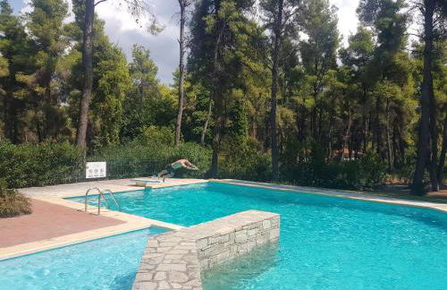 Sani Villa Christy - Foto 19