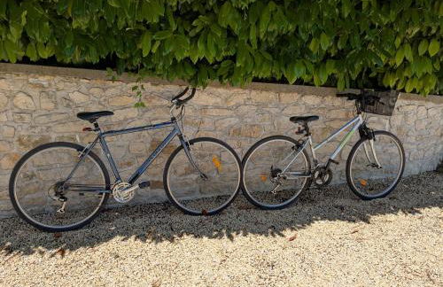 Les Jolis Nids - Studio Moineau - Foto 20