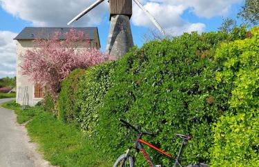 Charmante maison au calme avec jardin - Photo 36