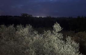 Collina sul mare - Foto 23