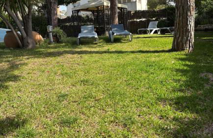 Villa Amparo con piscina privada - Photo 5