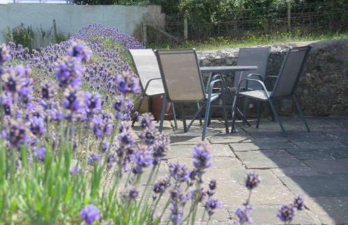 Vale of Glamorgan - Cottage - Sleeps 4 - Parking - Photo 39