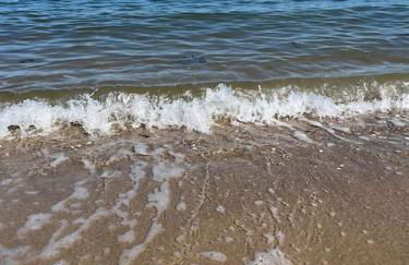 Hausboot Fritz im Wangermeer - Foto 16