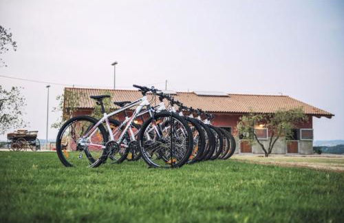 Agriturismo Biologico Diacceroni - Foto 82