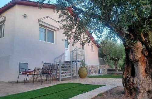 ΚΤΗΜΑ ΠΑΥΛΟΜΠΕΗ OLIVE & SEA - Foto 18