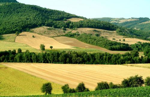 Agriturismo Fattoria Aquilone - Foto 73