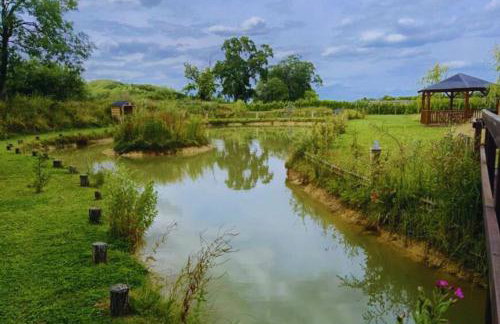 Bears House - Foto 25