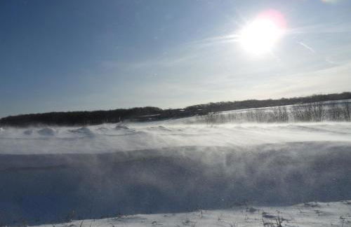 Kiekutsland - Foto 30