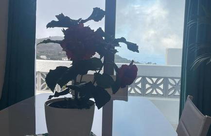 La Casa de Mami - Foto 7