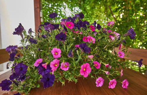 Villa Barbara-Kastela with heated pool - Foto 64