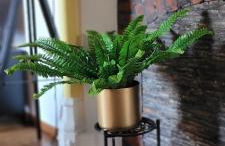 Appartement en centre ville - Foto 16