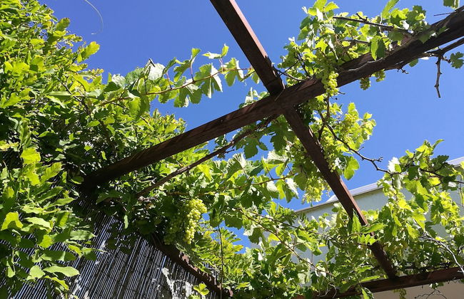 Casa Las Viñas - Foto 23