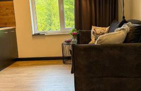 Apartamenty Drewno i Kamień - Foto 43