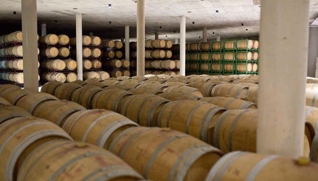 Sala de barricas de la bodega Sierra Norte