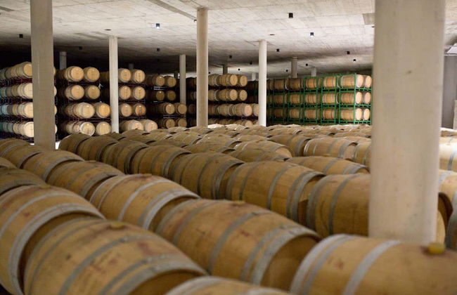 Visite de la cave Sierra Norte - Photo 5