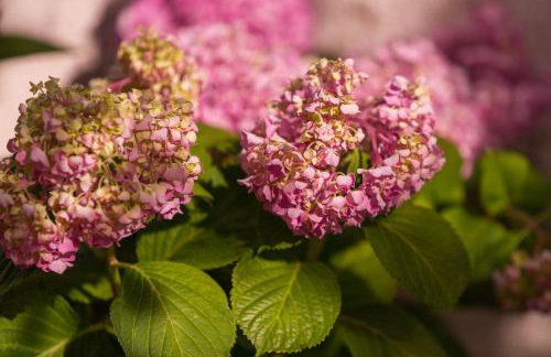 Apartments Kastelani - Photo 29