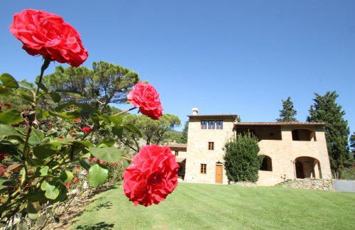Tenuta Poggio Marino - Foto 18