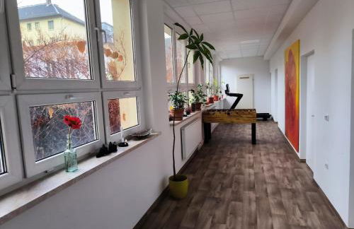 Ferienwohnung am Englischen Garten - Foto 6