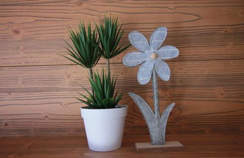 CASA IBEX - Residence Veronza con piscina, Dolomiti Affitti - Foto 10