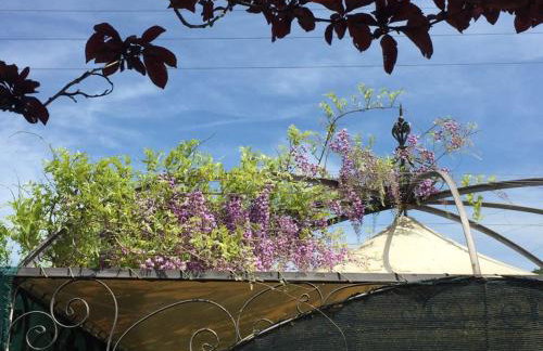 Le Coccole Del Trasimeno - Foto 78