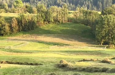 Appartamenti Pichler - Foto 31