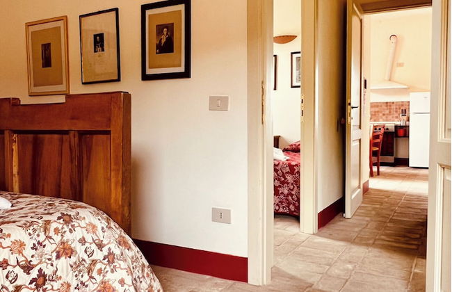 Fattoria Podere i Luoghi - Foto 6