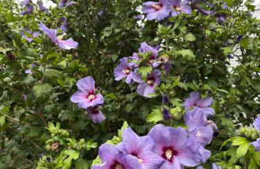 Landwehrblick - Foto 20