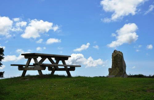 The Barn at Cae Bach - Foto 23