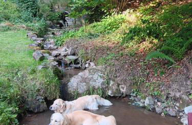 Waldblick Ferienwohnungen - Foto 71