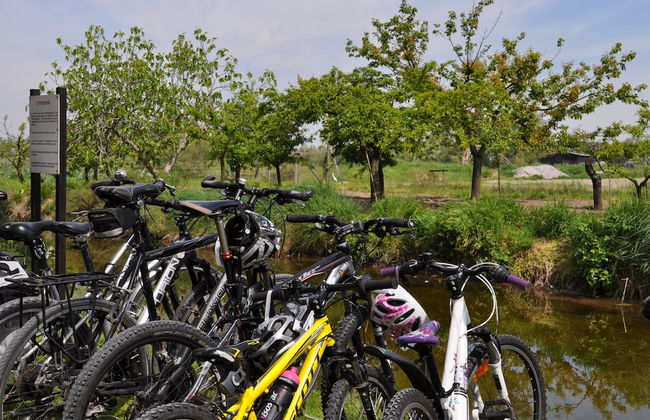 Agriturismo La Barena - Foto 33